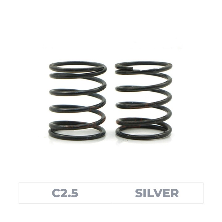 Axon World Spec Spring HLS C2.5 (Silver)