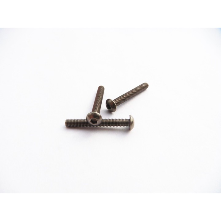 48109 Hiro Seiko Titanium Hex Socket Button Head Screw M3X23 (2)