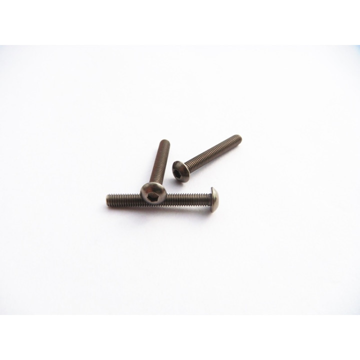 48109 Hiro Seiko Titanium Hex Socket Button Head Screw M3X23 (2)