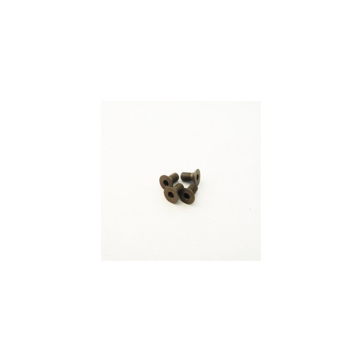 48572 Hiro Seiko Alloy Hex Socket Flat Head Screw M3X6 [Hc]