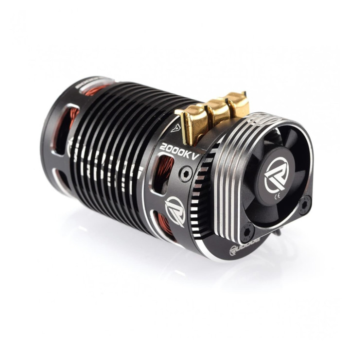 RP-0158 Ruddog RP691 2000KV 1/8 Sensored