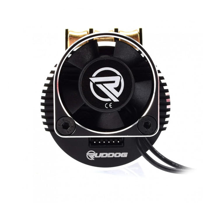 RP-0158 Ruddog RP691 2000KV 1/8 Sensored
