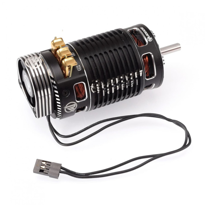 RP-0158 Ruddog RP691 2000KV 1/8 Sensored