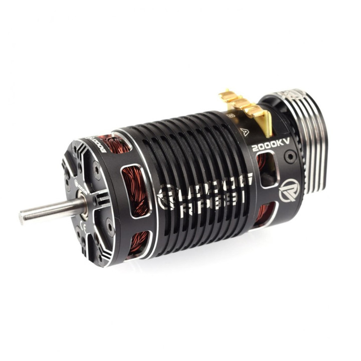 RP-0158 Ruddog RP691 2000KV 1/8 Sensored