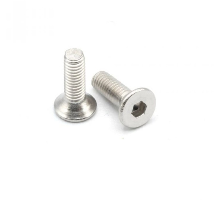 MonacoRC Steel Flat Screw 3x10 (10)