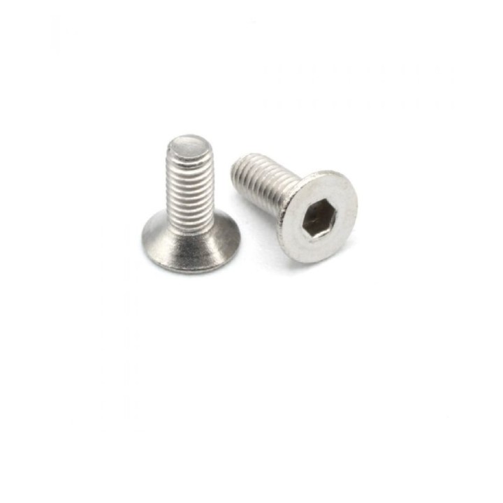 MonacoRC Steel Flat Screw 3x6 (10)