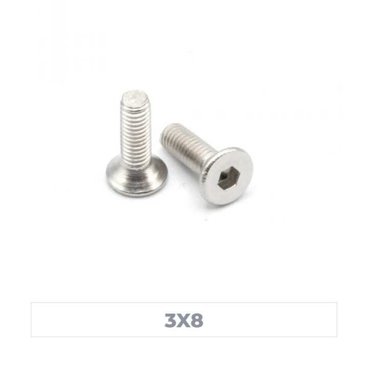 MonacoRC Steel Flat Screw 3x8 (10)