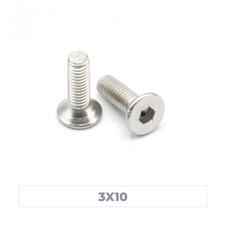 MonacoRC Steel Flat Screw 3x10 (10)