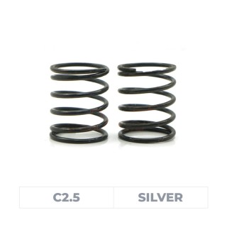 Axon World Spec Spring HLS C2.5 (Silver)