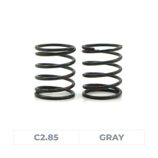 Axon World Spec Spring HLS C2.85 (Gray)