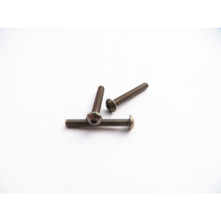 48109 Hiro Seiko Titanium Hex Socket Button Head Screw M3X23 (2)