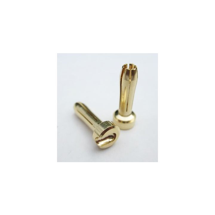 2505TQ Wire Gold 4MM HD 6-Point Bullet